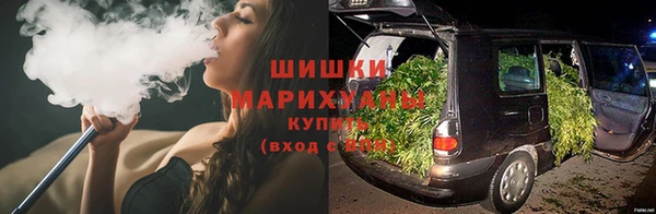 ПСИЛОЦИБИНОВЫЕ ГРИБЫ Алзамай