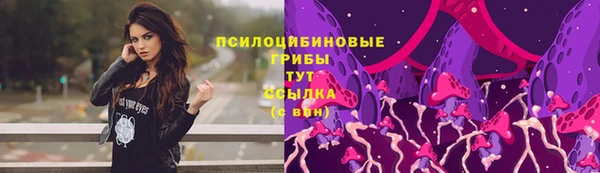 a pvp Алексеевка