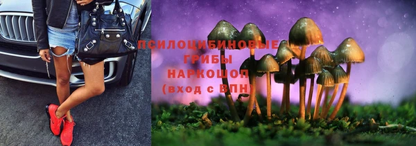 ПСИЛОЦИБИНОВЫЕ ГРИБЫ Алзамай