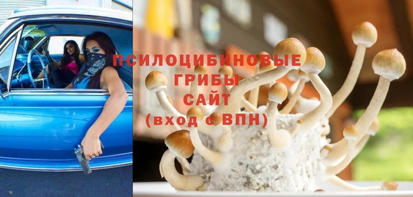 ПСИЛОЦИБИНОВЫЕ ГРИБЫ Алзамай