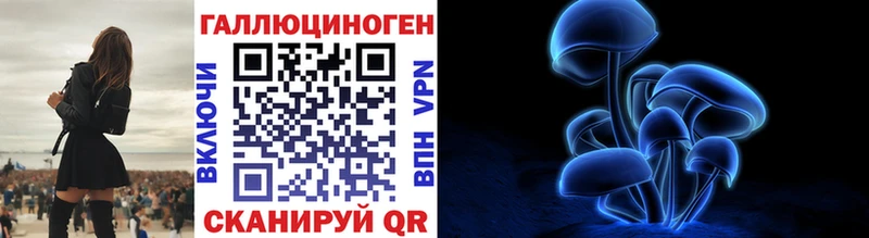 Псилоцибиновые грибы Cubensis закладка MEGA вход Томск